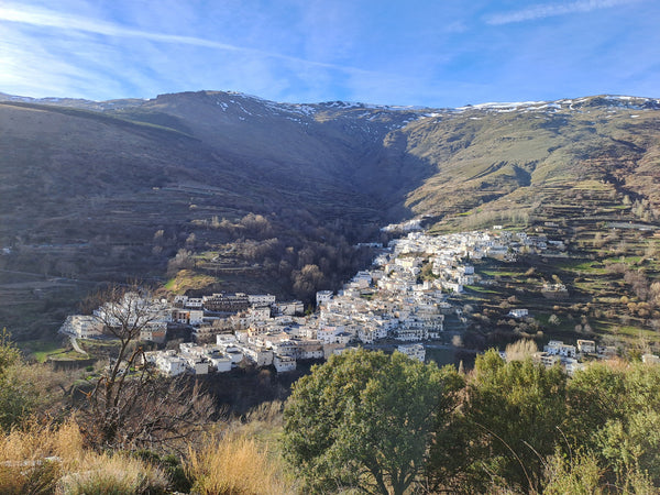 Organic Jamón de Cebo Campo 50% Ibérico. De-Boned 2kg