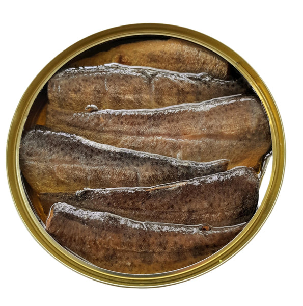 Smoked trout in olive oil in a tin
